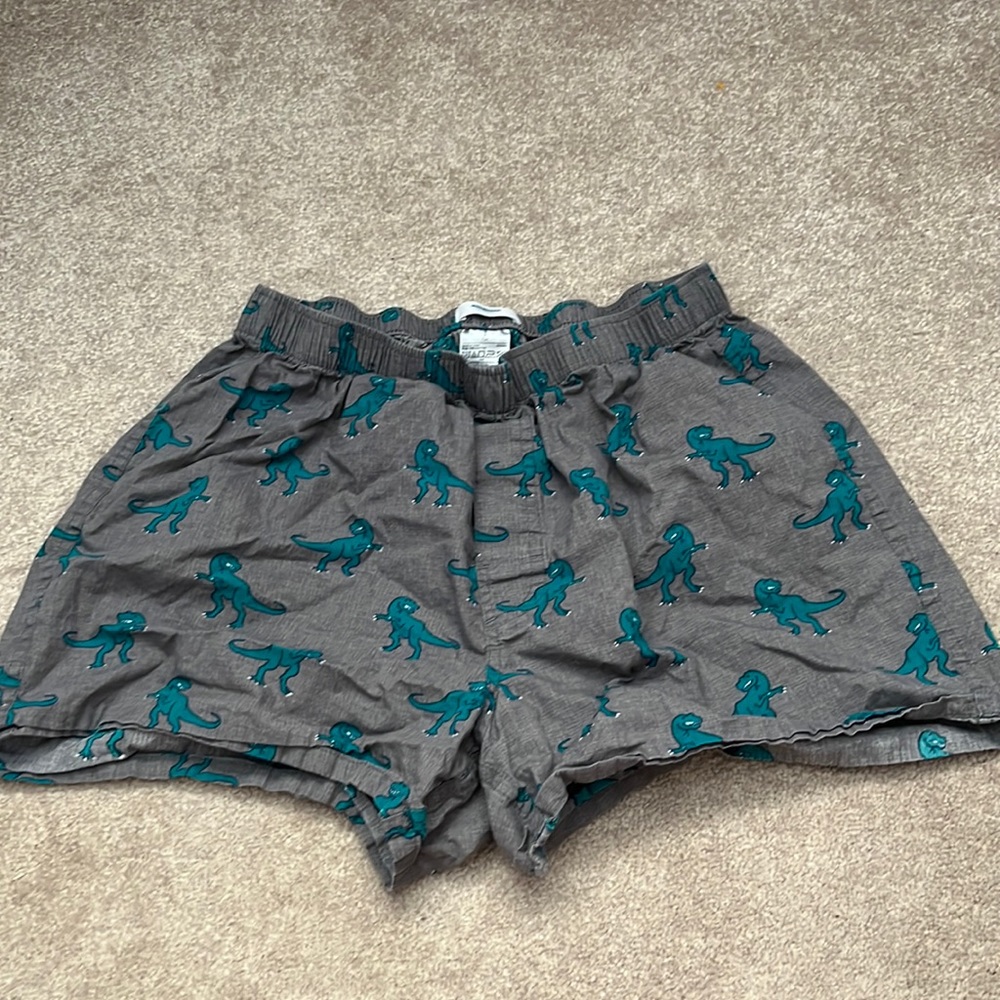 Dinosaur boxers